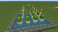The torches are optional, as cactus doesn't require light to grow (Image via Mojang)
